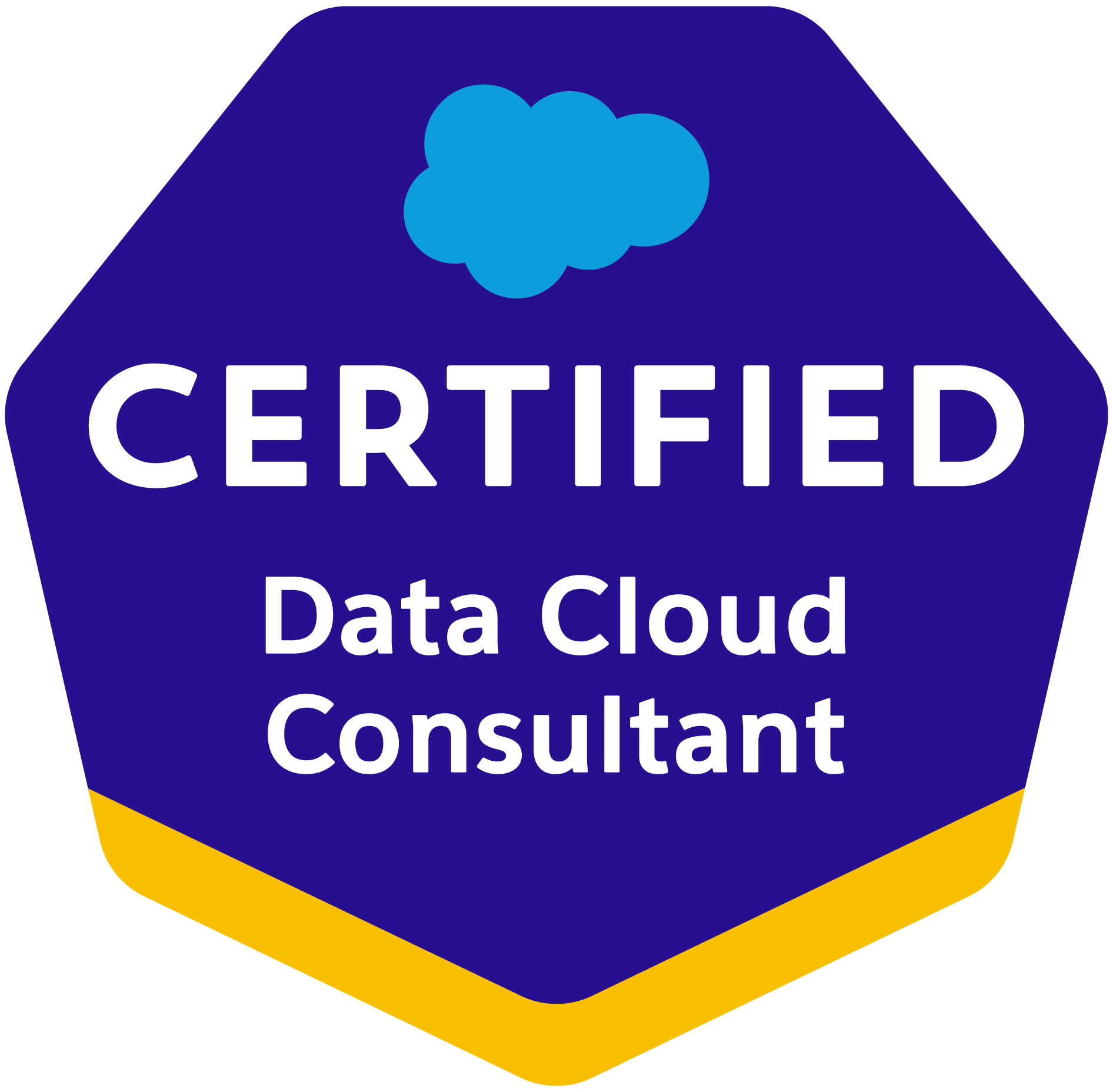 Data Cloud Certification Logo